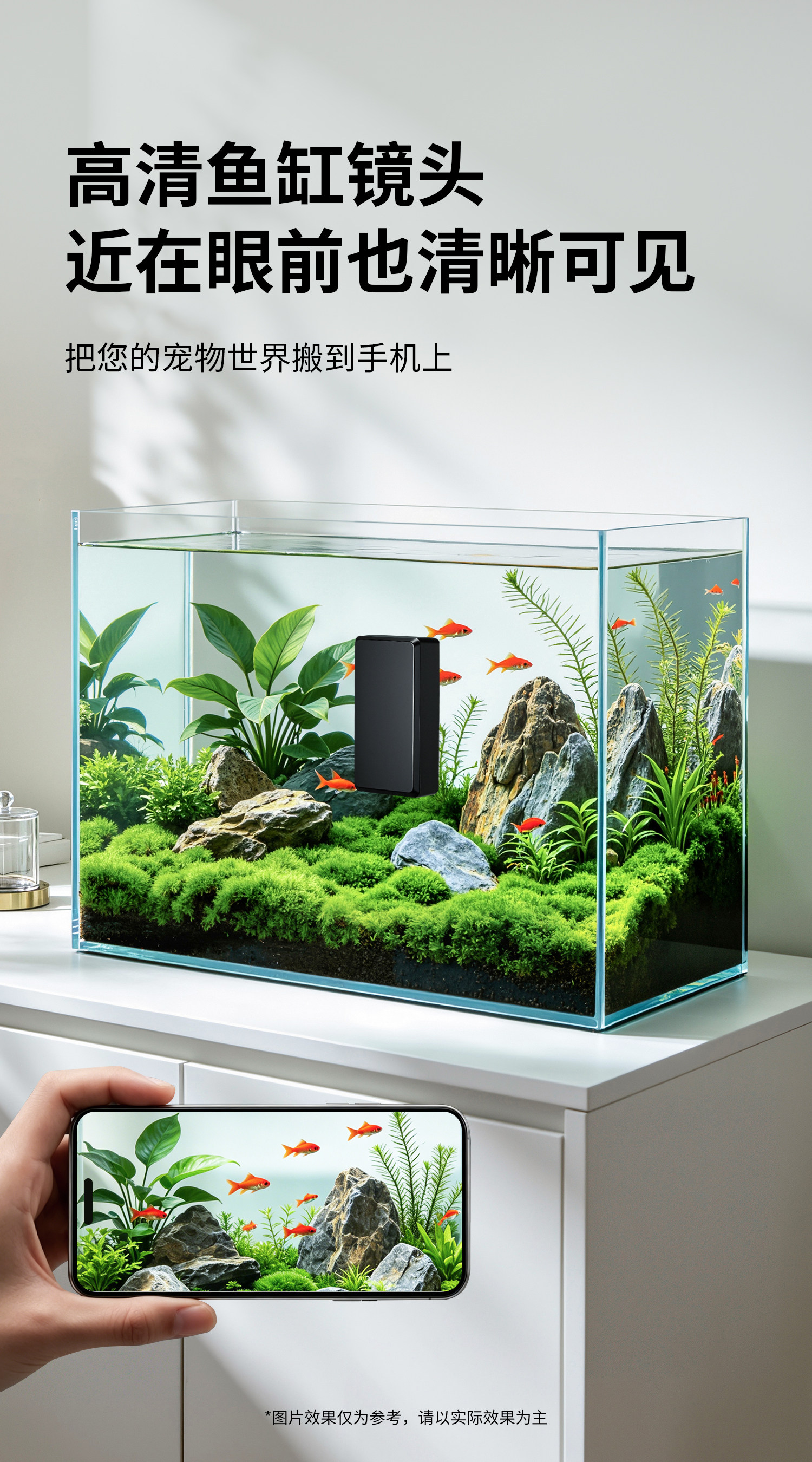 参数图